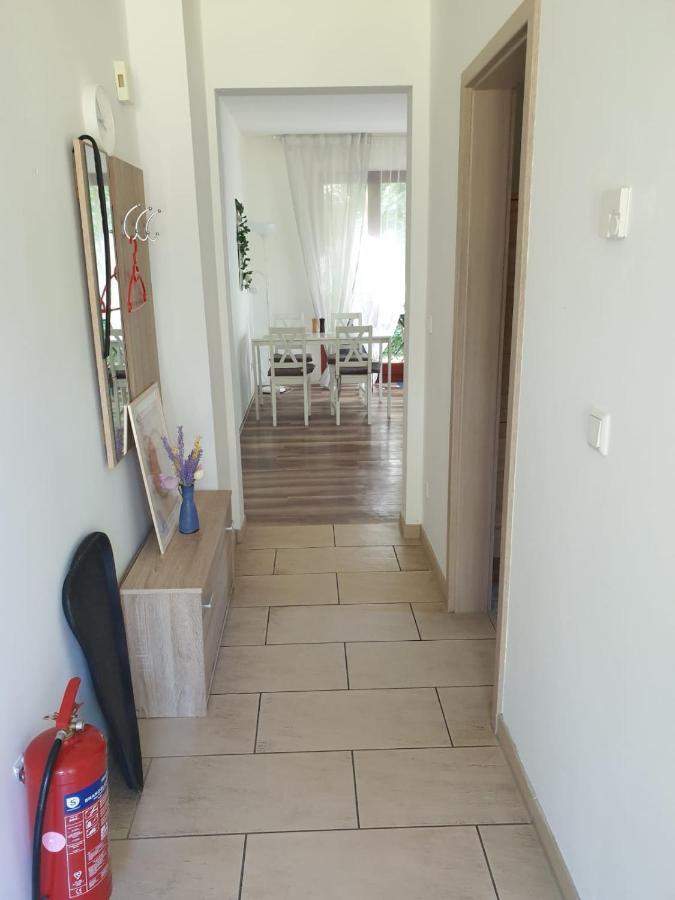 Ferienwohnung 3 - Gourmetzimmer ベステンゼー エクステリア 写真